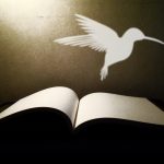 otvorená kniha a z nej vylietava biely vták