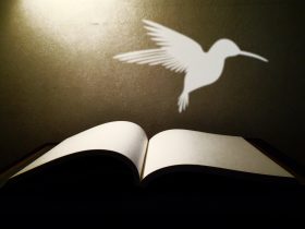 otvorená kniha a z nej vylietava biely vták