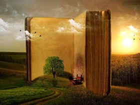 magický obrázok strom a lavička chránené otvorenou knihou