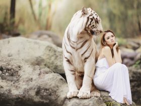 Biely Tiger a dievča