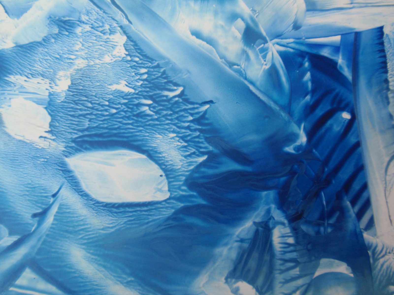 enkaustické pozadie modré more a ryba