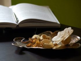 otvorená kniha s perom a dekoráciou