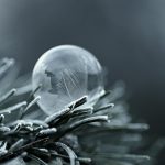 mrazivé obrazce v bubline na zimnom ihličí