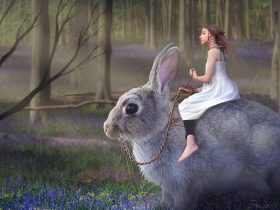 dievča na striebornom zajacovi