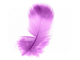 purpurové anjelské pierko