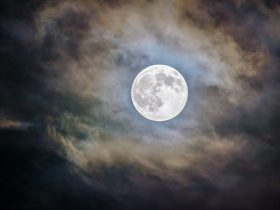 Spln luny