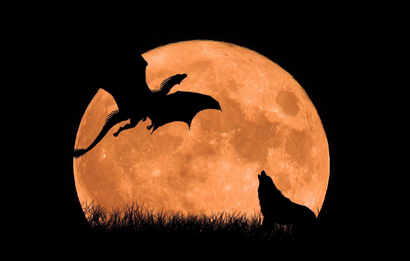 Letiaci čierny drak v splne Luny a zavýjajúci pes