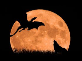 Letiaci čierny drak v splne Luny a zavýjajúci pes