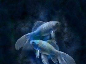 znamenie zverokruhu Ryby