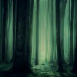 tmavý magický les