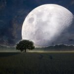 Ubúdajúca Luna od splnu a strom v krajine