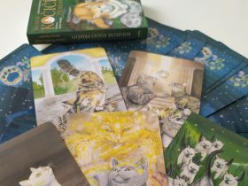 tarotové karty Kočičí tarot