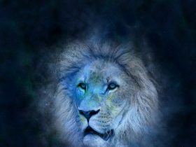 znamenie zverokruhu Lev