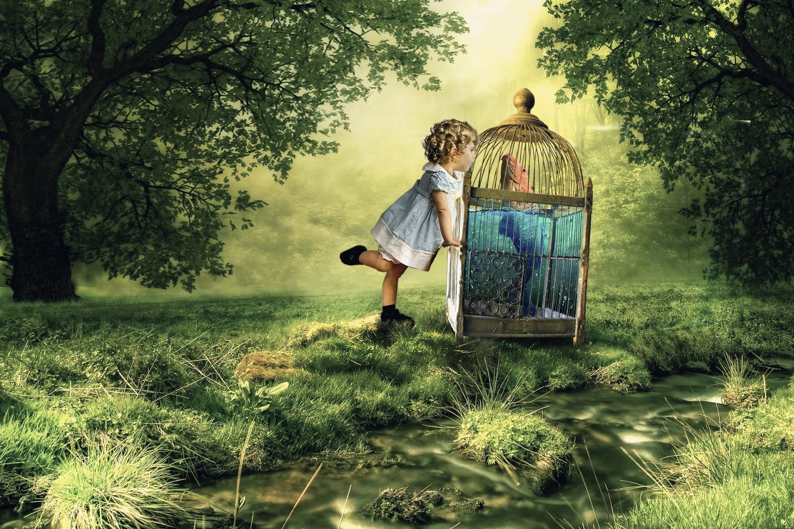 dieťa a klietka so zvieratami na lúke - fantazijné