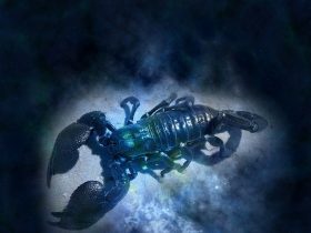 znamenie zverokruhu Škorpión