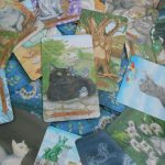 Kočičí tarot karty