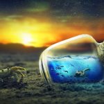 krab, fľaša s vodou a západ slnka - fantazijné