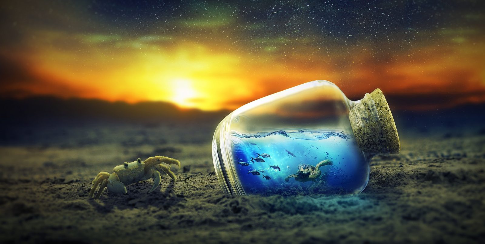 krab, fľaša s vodou a západ slnka - fantazijné