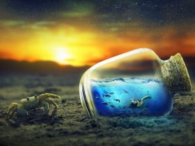 krab, fľaša s vodou a západ slnka - fantazijné