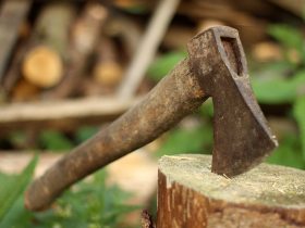 stará sekera zaťatá v pni