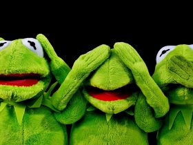 tri žaby - nevidel, nepočul, nepovedal