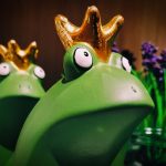 žaby s korunkou na hlave