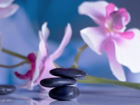 orchidea a modré kamienky na sebe