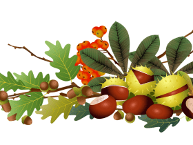 gaštany, listy, žalude