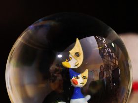 PF 2016 Numerológia