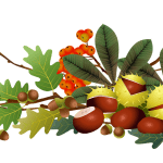 gaštany, listy, žalude