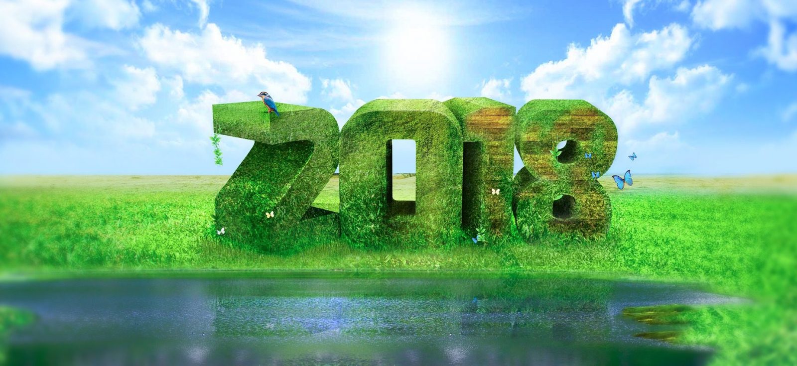 číslice roku 2018 zo zelenej trávy pri vode