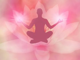 meditácia postavy v lotosovom sede a lotosový kvet v ružovej