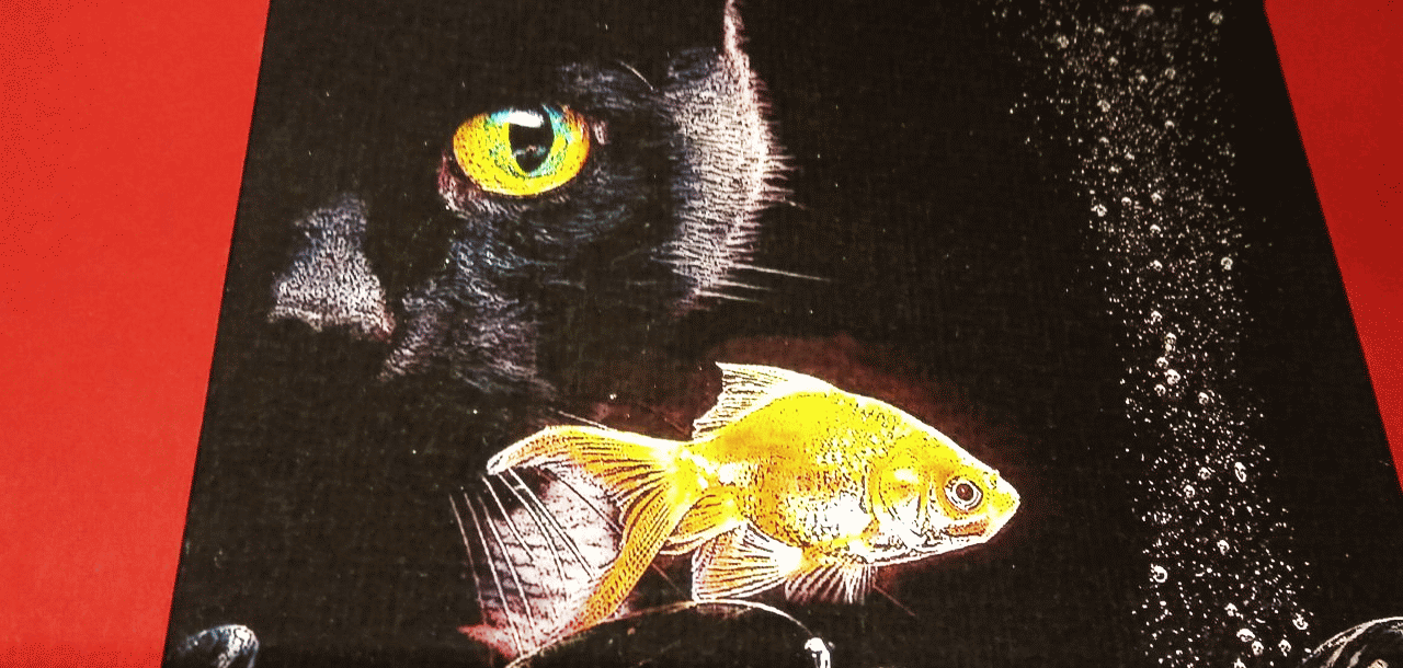 Čierna mačka a zlatá rybka