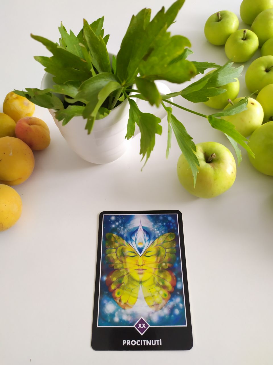 Tarotová karta Osho Zen Tarot XX Precitnutie