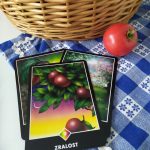 Tarotová karta Osho Zen Tarot s názvom