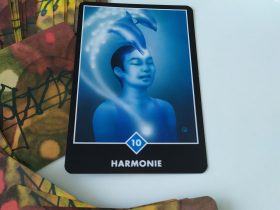 Karta Osho Zen Tarot 10 vody s názvom Harmónia