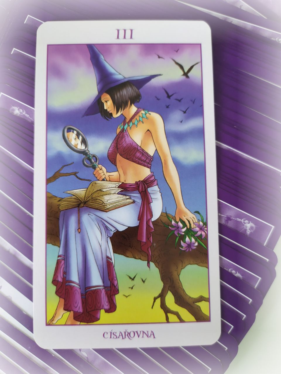 Tarotová karta Witch Tarot s názvom