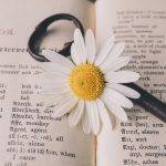 kľúč a kvet margarétky na slovách v knihe