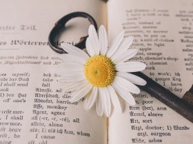 kľúč a kvet margarétky na slovách v knihe