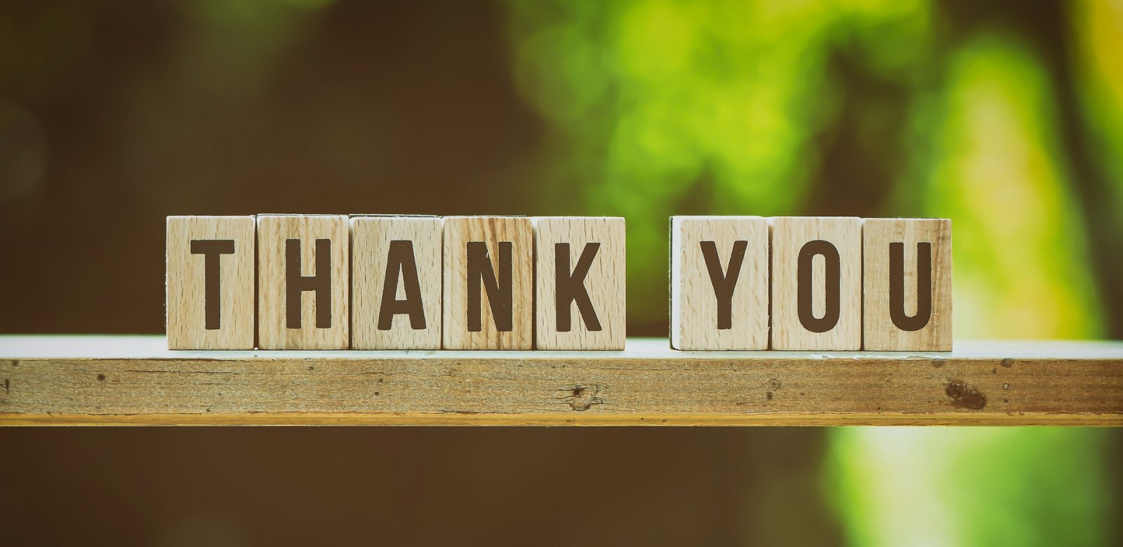 feedback thank you